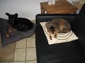 flop  _07-12-07_0